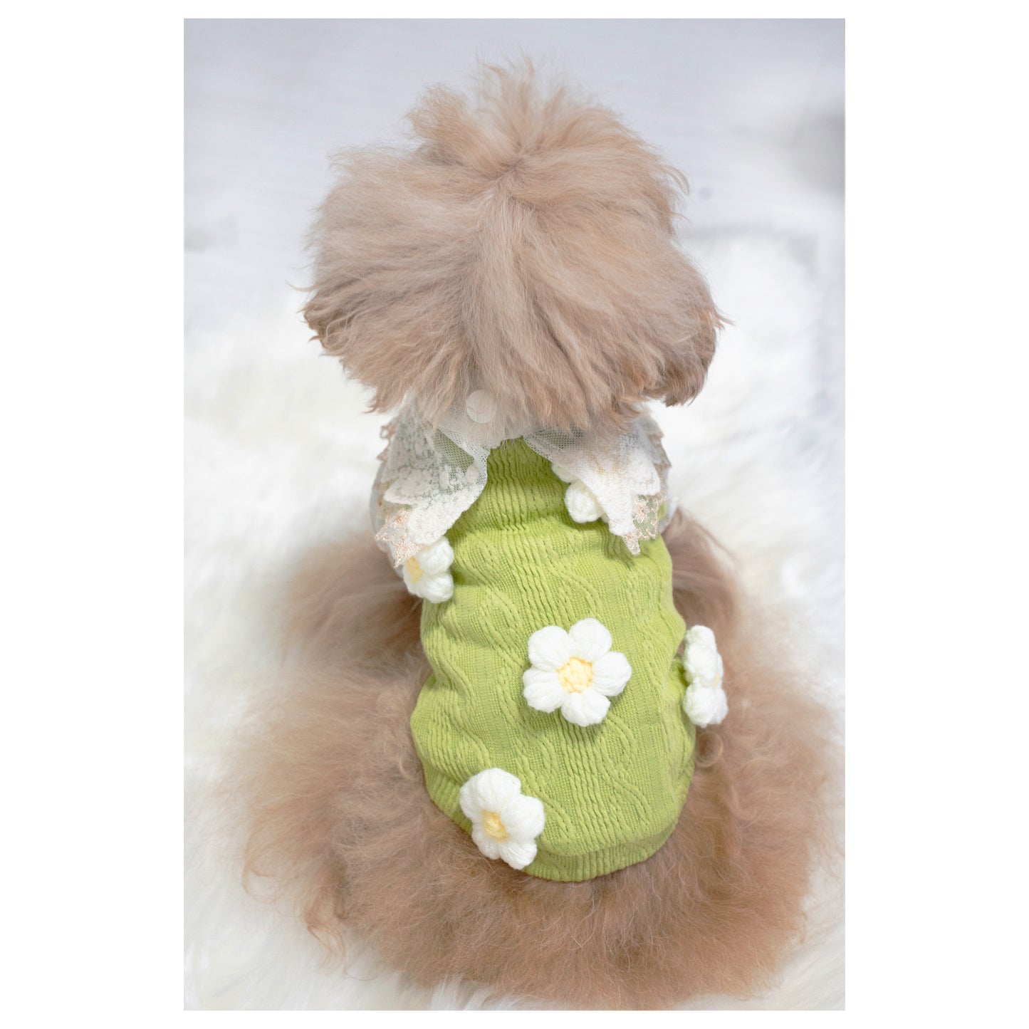 Flower garden tops <J’ADOR DU ALETTA > Jardin