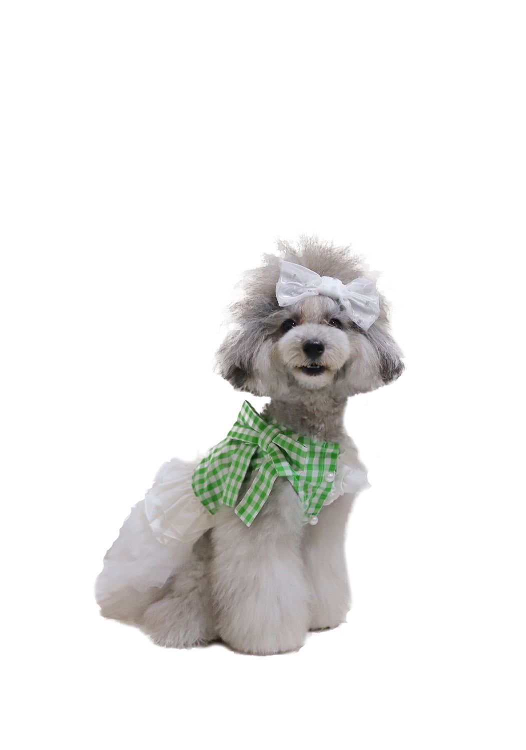 Crystal ribbon バレッタ White gold ☆Bettyコラボ 9月商品におすすめ☆