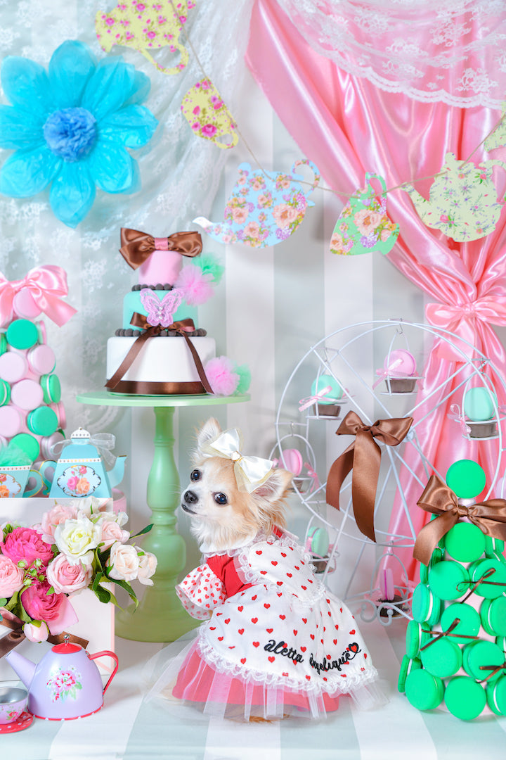 Cream ribbon