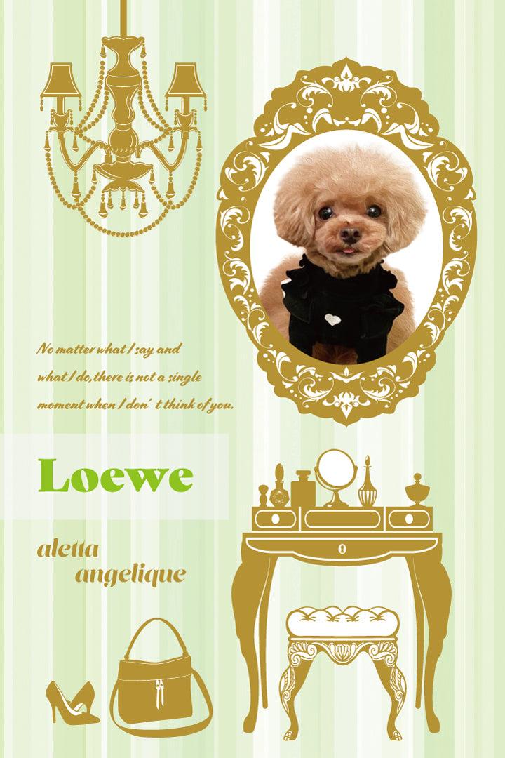 オンライン撮影会! Vol.1 「aletta Dressy Room ROYAL Green ×GOLD 」