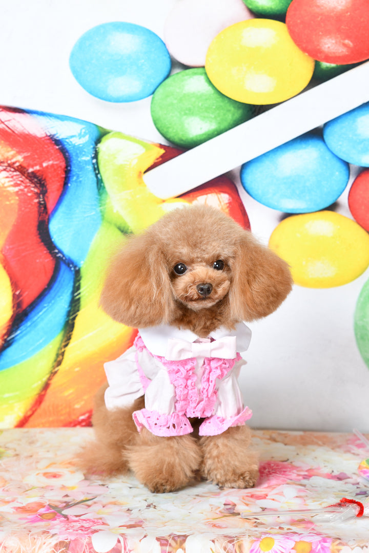 Prince blouse pink