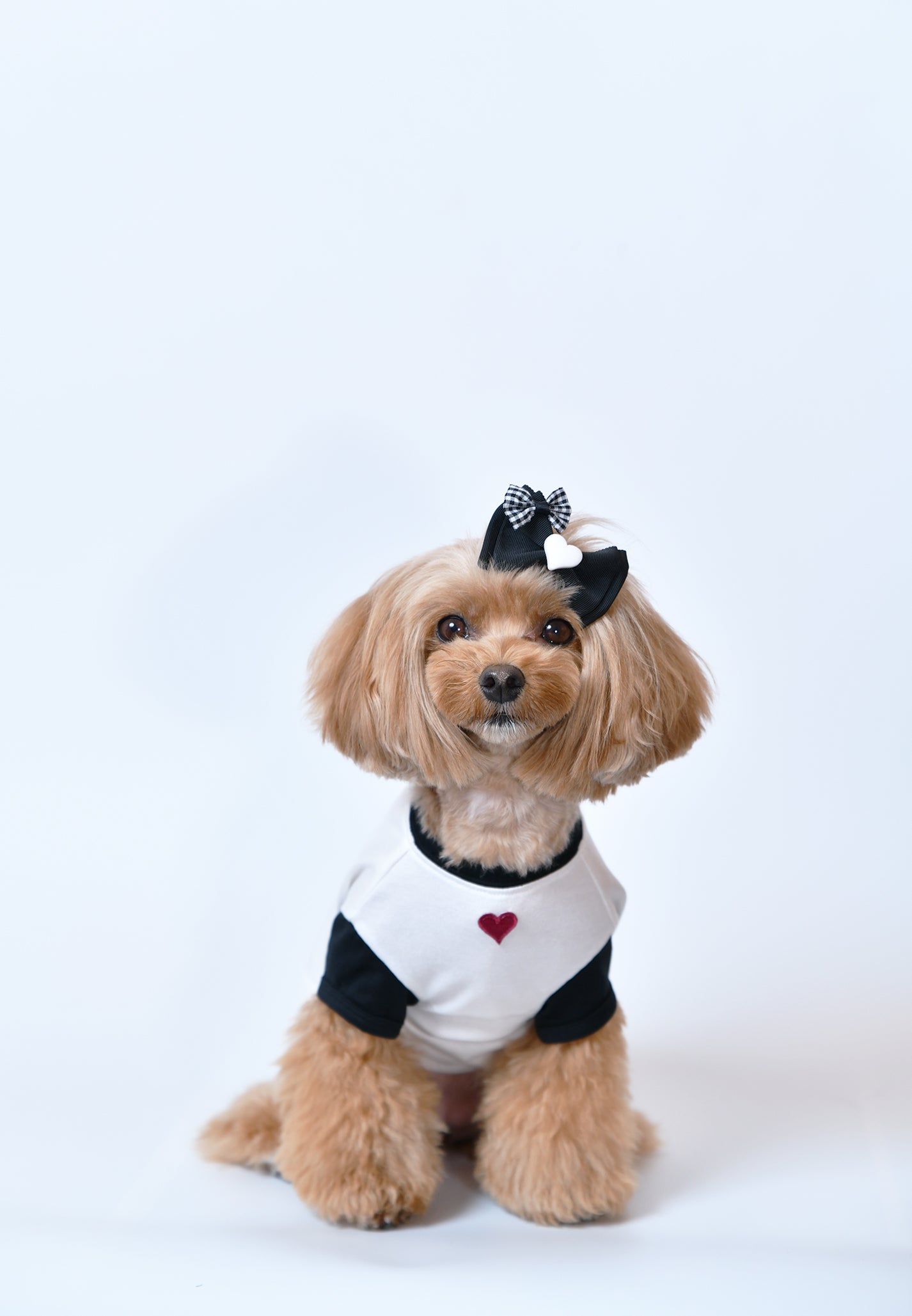 ハートバレッタ Black ☆Bettyコラボ商品におすすめ☆