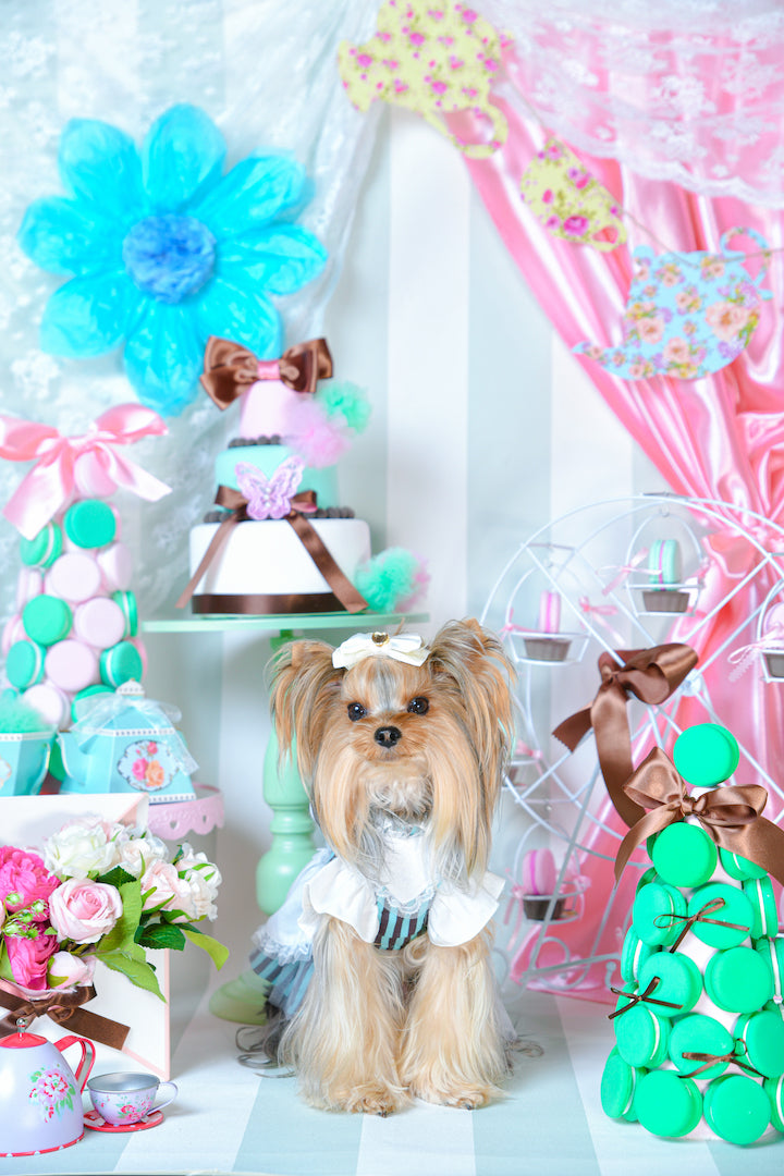 mint chocolateなワンピース