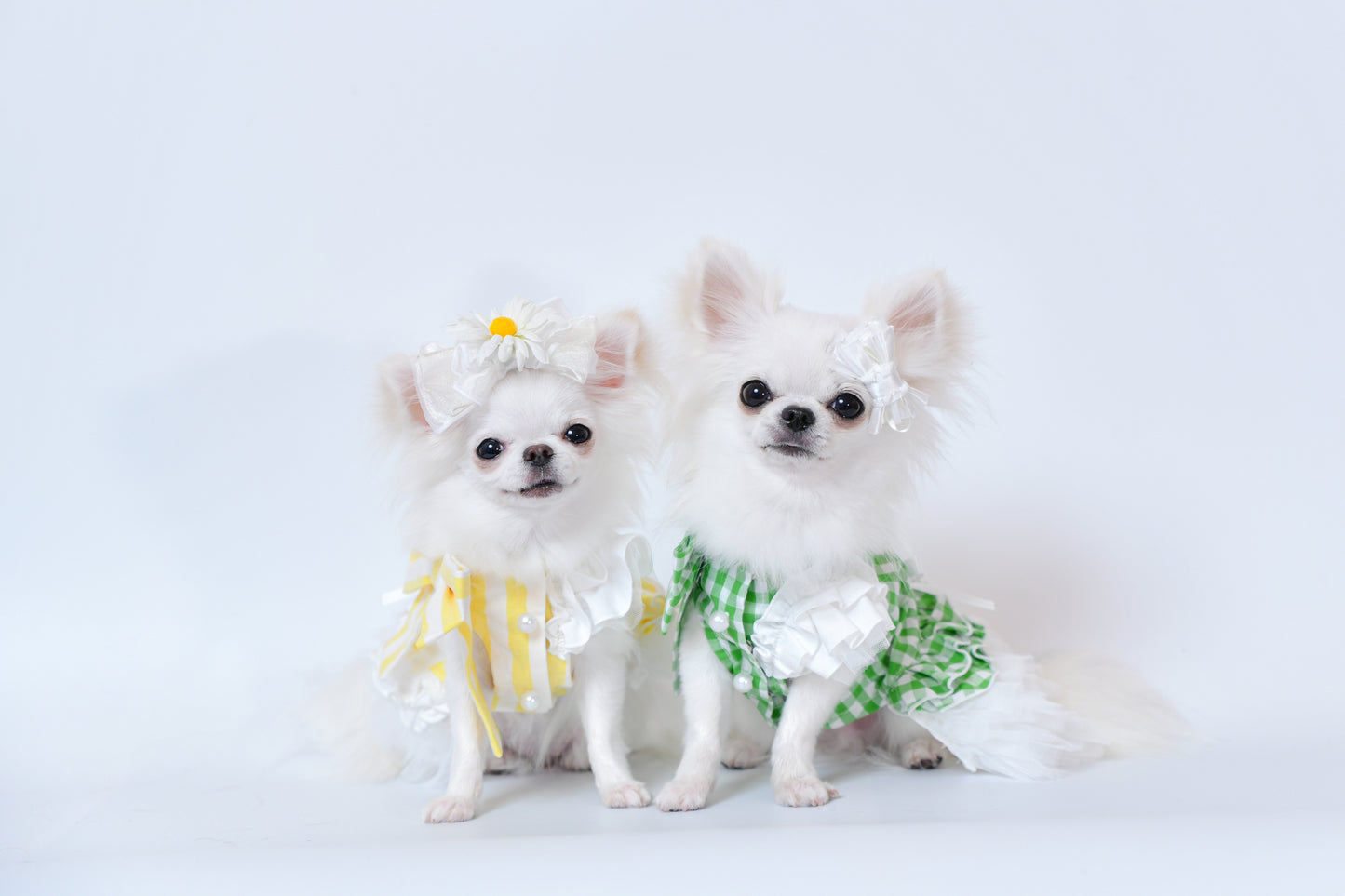 Marguerite バレッタ