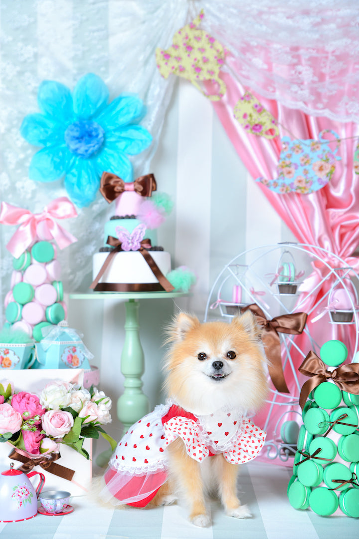 Valentine Heartなワンピース