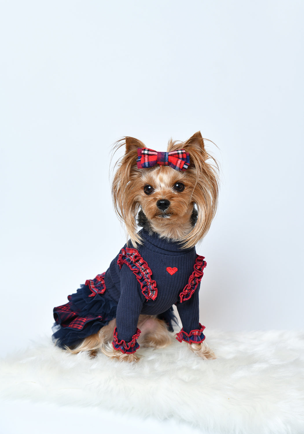 aletta angelique オリジナル フリルタートルニット Navy&red