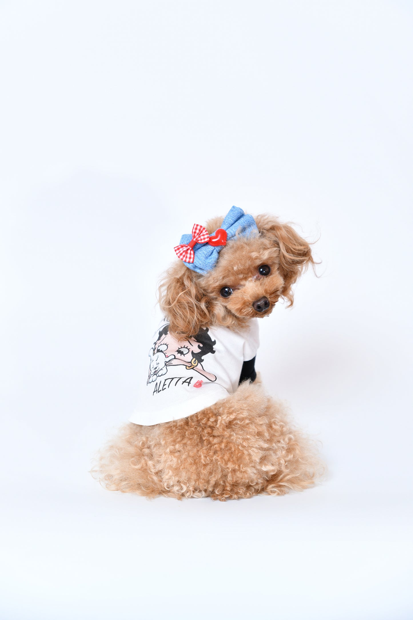 ハートバレッタ Denim ☆Bettyコラボ商品におすすめ☆