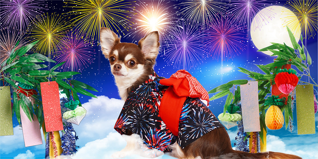 オーダーメイド浴衣 HANABI