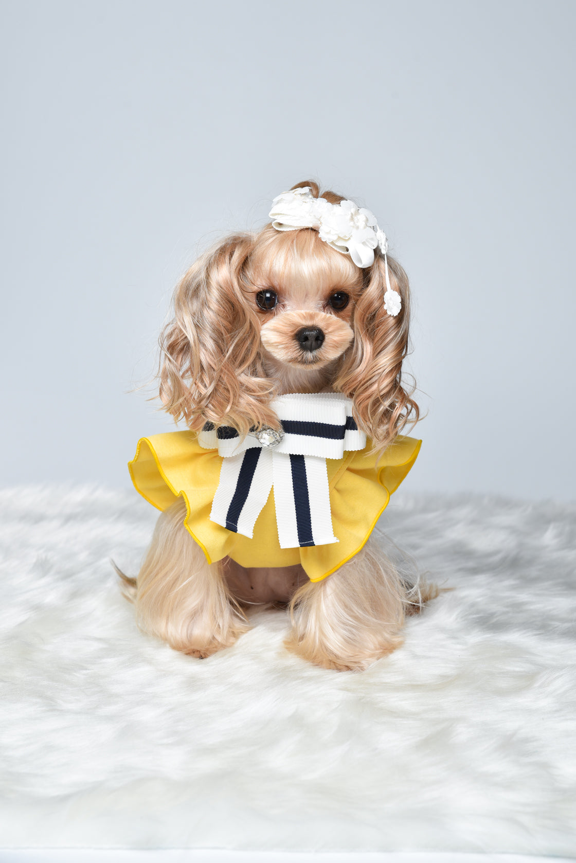 Zippy crystal onepiece yellow