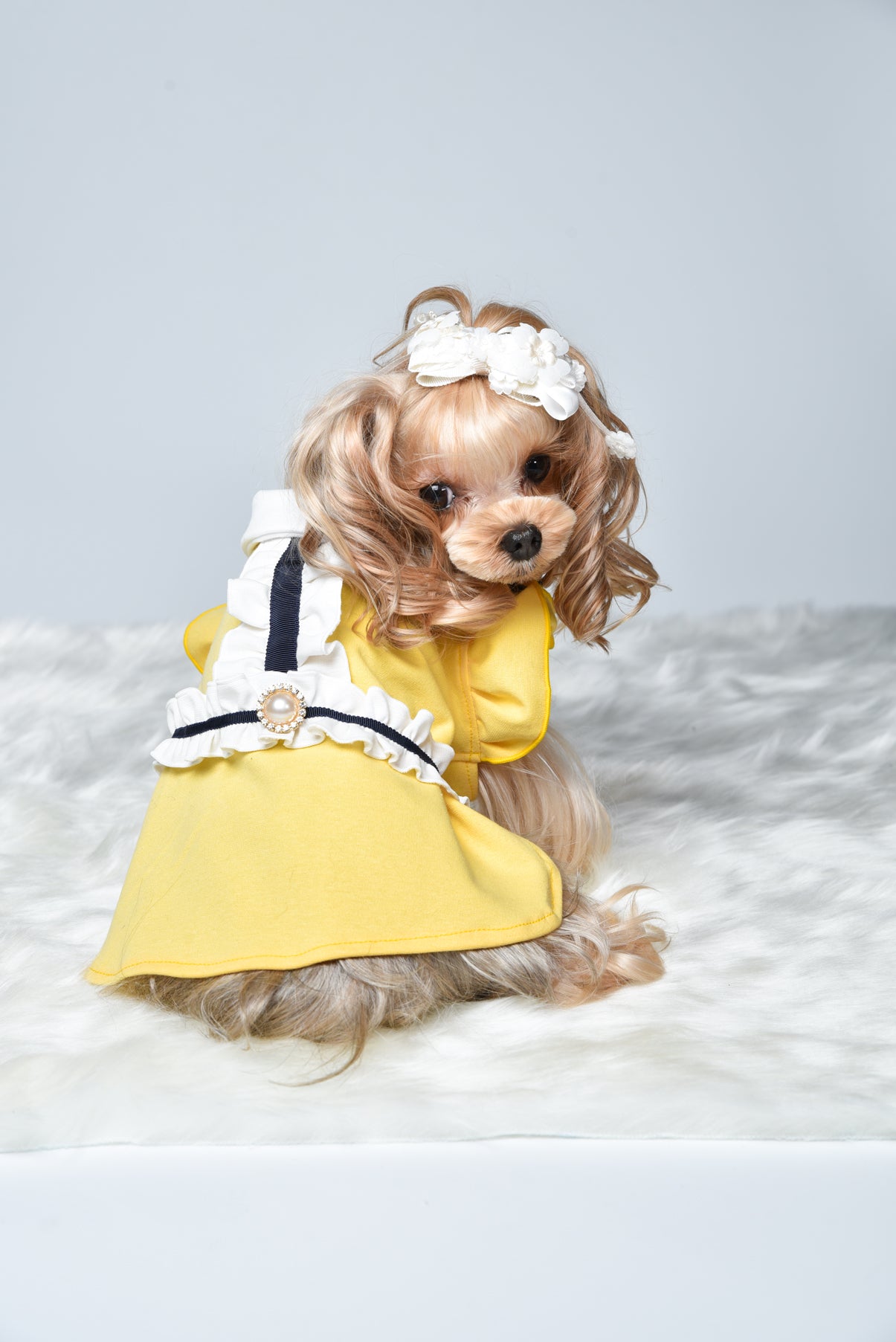 Zippy crystal onepiece yellow