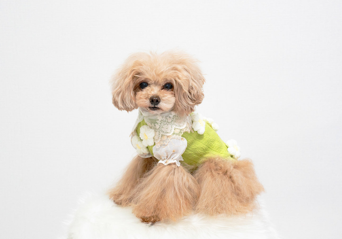 Flower garden tops <J’ADOR DU ALETTA > Jardin