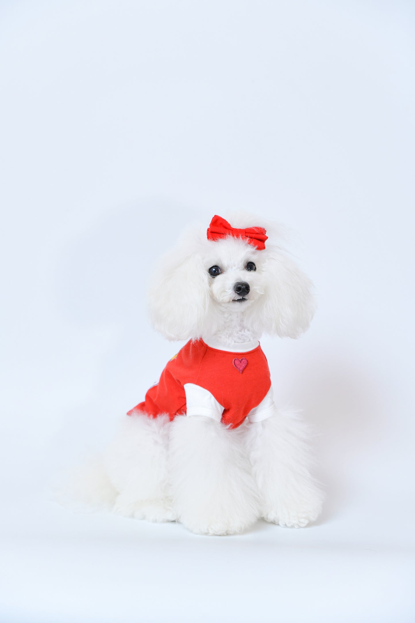Betty Boop Pair tee Red A柄 ☆即納☆