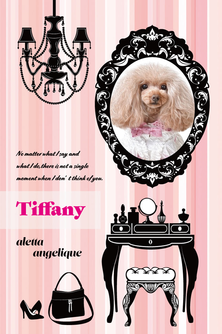 オンライン撮影会! Vol.1 「aletta Dressy Room Sweet Pink」