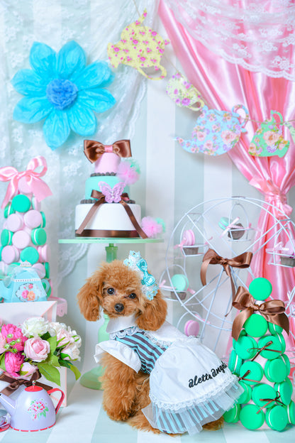 mint chocolateなワンピース