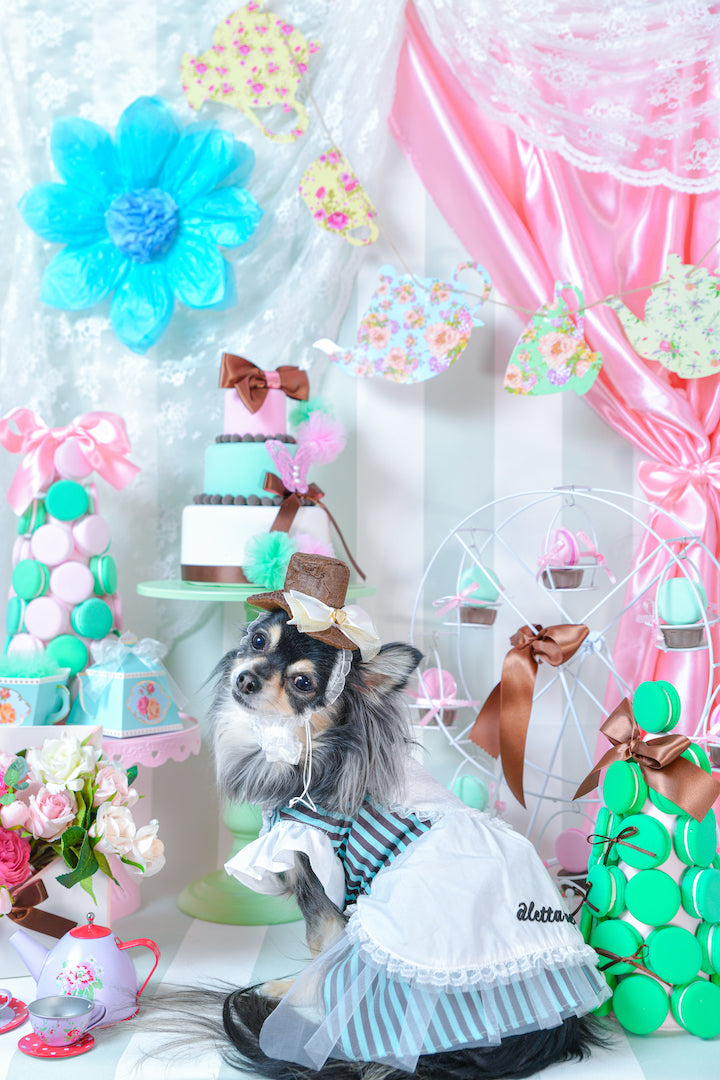 mint chocolateなワンピース