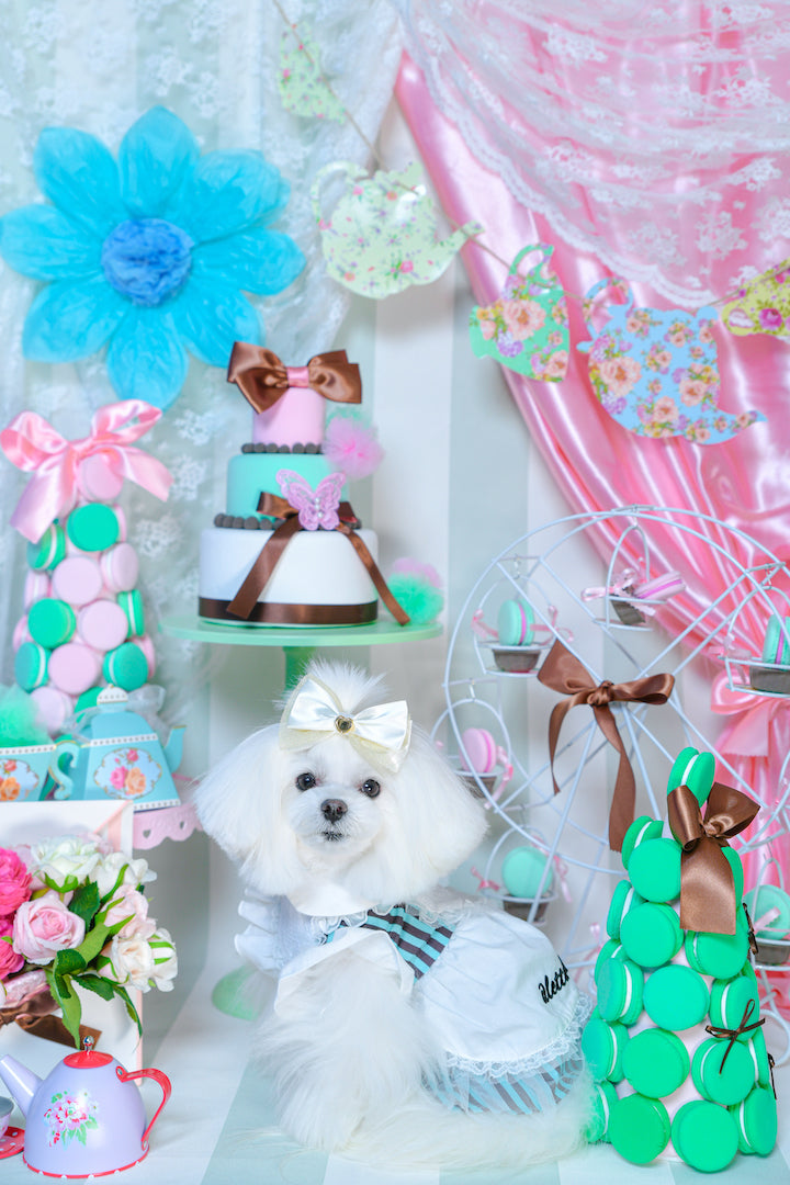 Cream ribbon