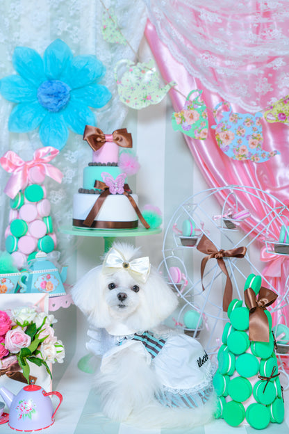 Cream ribbon