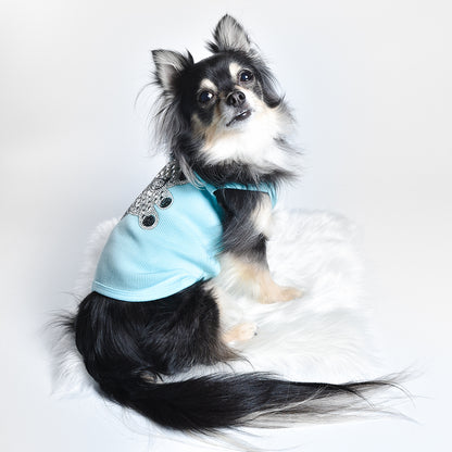 Aqua Teddy Tank