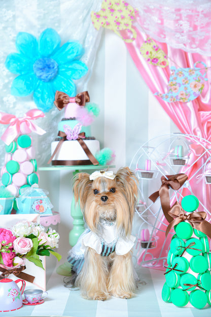 mint chocolateなワンピース