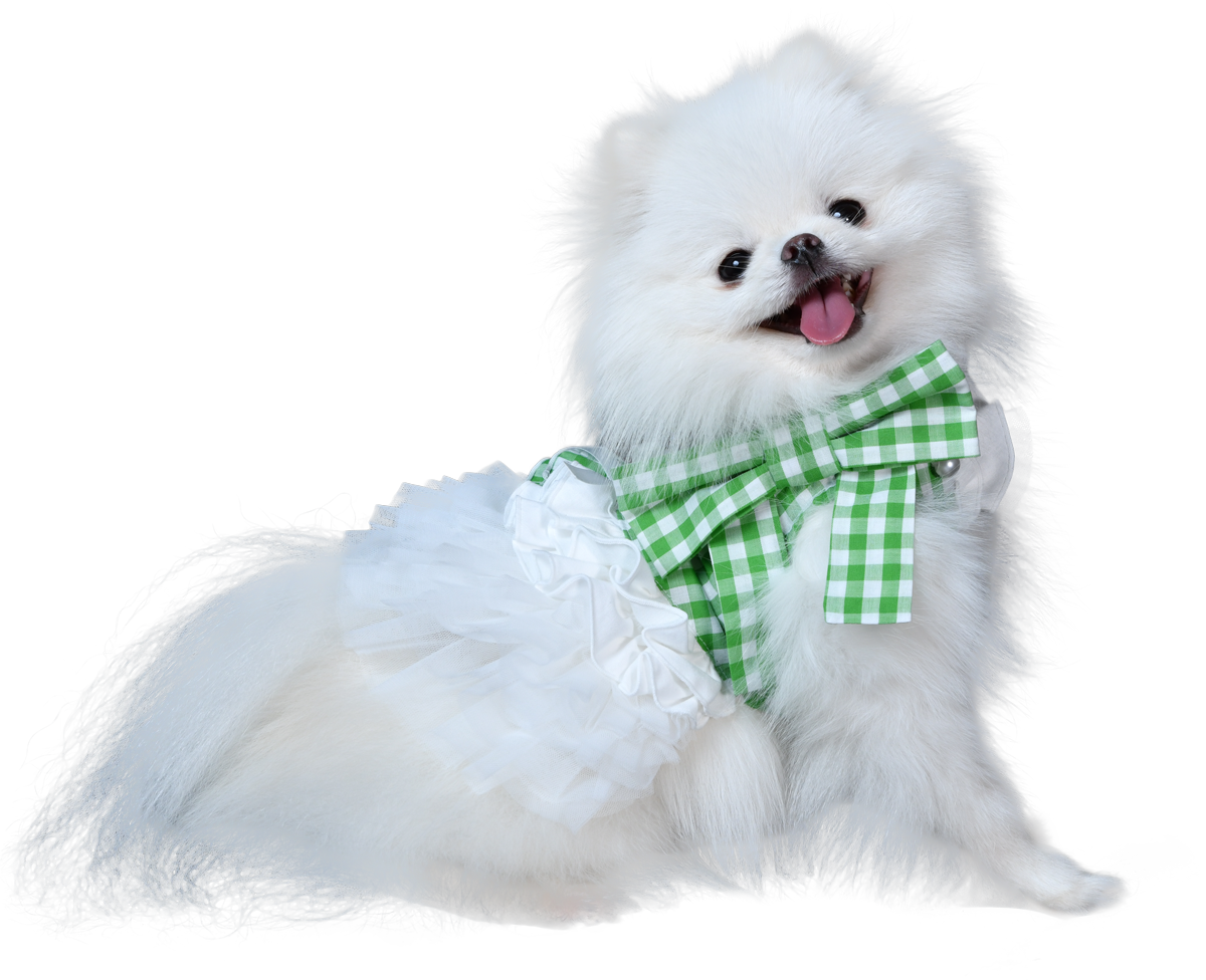 French doll ワンピース Gingham Green
