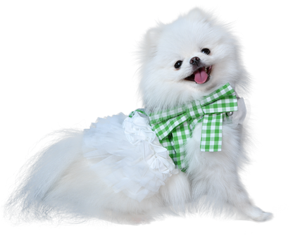 French doll ワンピース Gingham Green