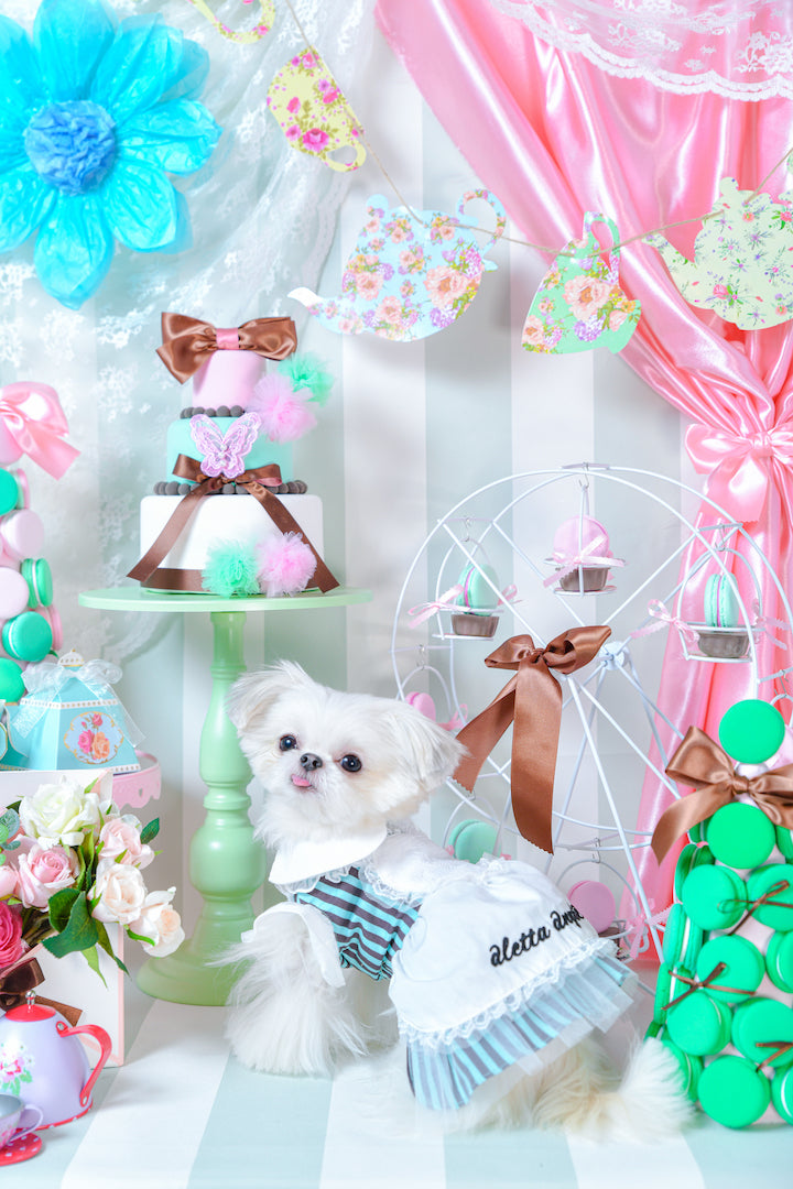 mint chocolateなワンピース