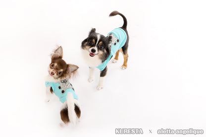 Aqua Teddy Tank